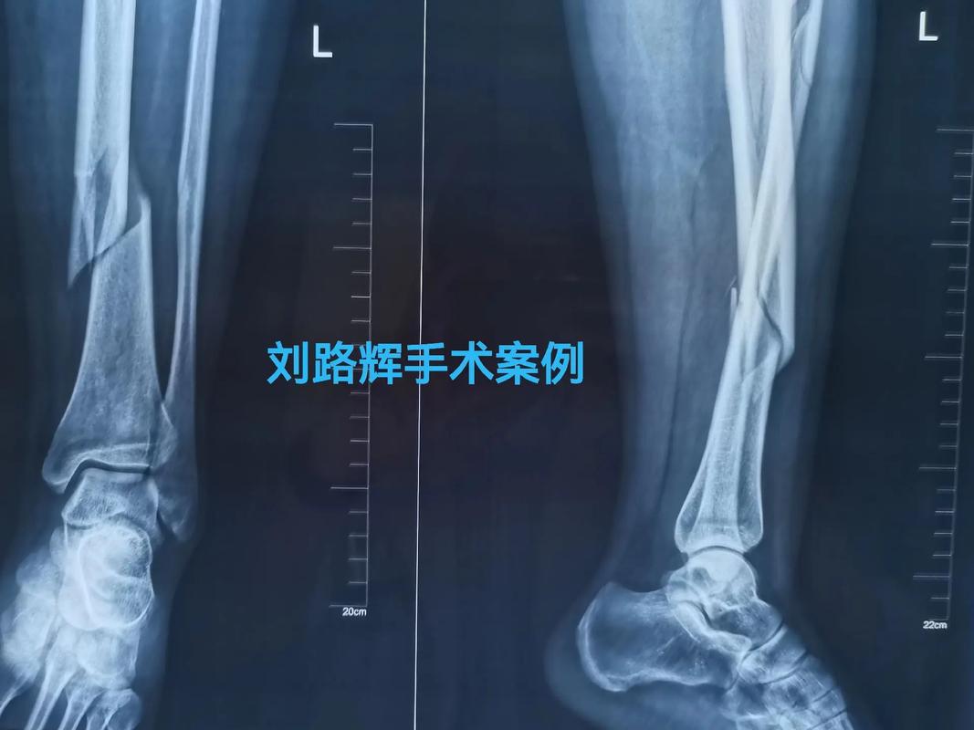 admin 第77页