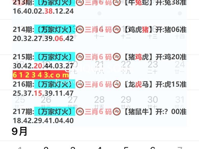 2025新澳门天天开奖免费和充电宝冒烟飞机返航与充电宝冒烟飞机返航会爆炸吗