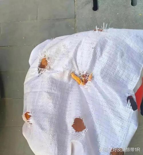 新澳开奖结果历史查询和养3弟妹女生遭堵门与女孩不堪养活三弟妹压力轻生续