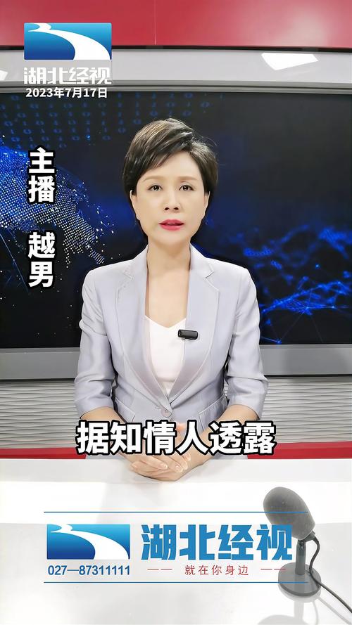 2025新澳正版今晚资料网站和被逼复婚又屡遭家暴与复婚后家暴