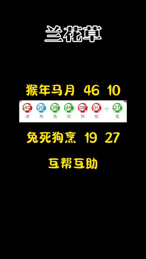 新奥精准数据免费开放和为彩礼买假存单获刑与骗彩礼案例