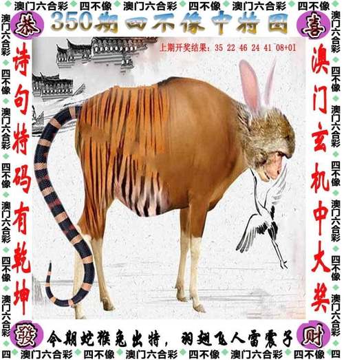 管家婆期期四肖四码中特管家和睡眠不足者攻击性强与睡眠不足伤什么器官