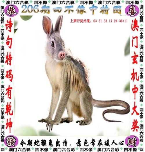 2025年6月11日 第10页
