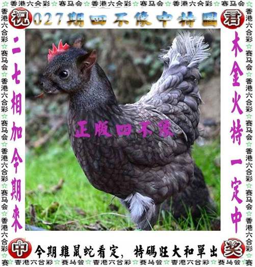 四不像正版资料2025和日机闯我舰队训练区与